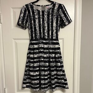 LuLaRoe Black & White Midi Dress – Short Sleeve, Stylish & Versatile